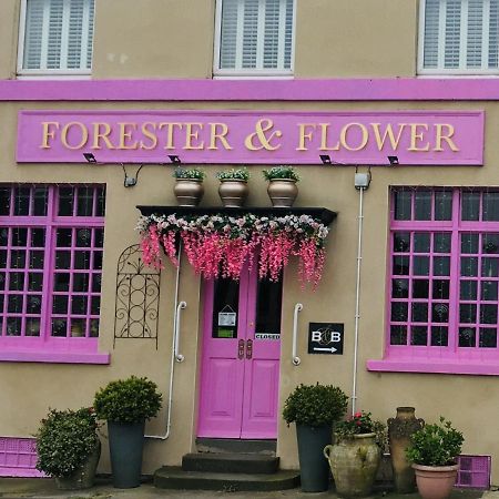 The Forester And Flower Μπαθ Εξωτερικό φωτογραφία